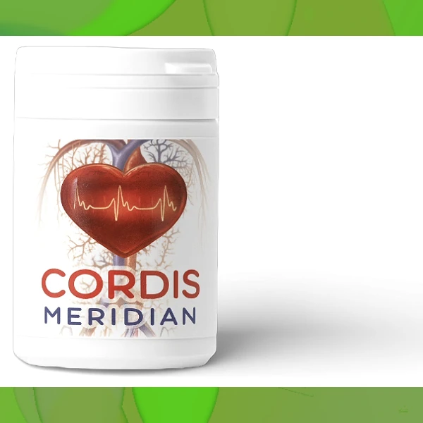 Cordis Meridian